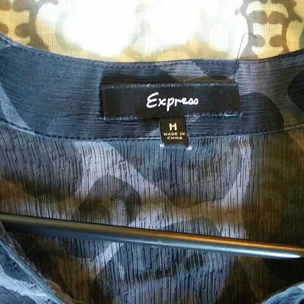 Sheer Blouse - Picture 2 of 3